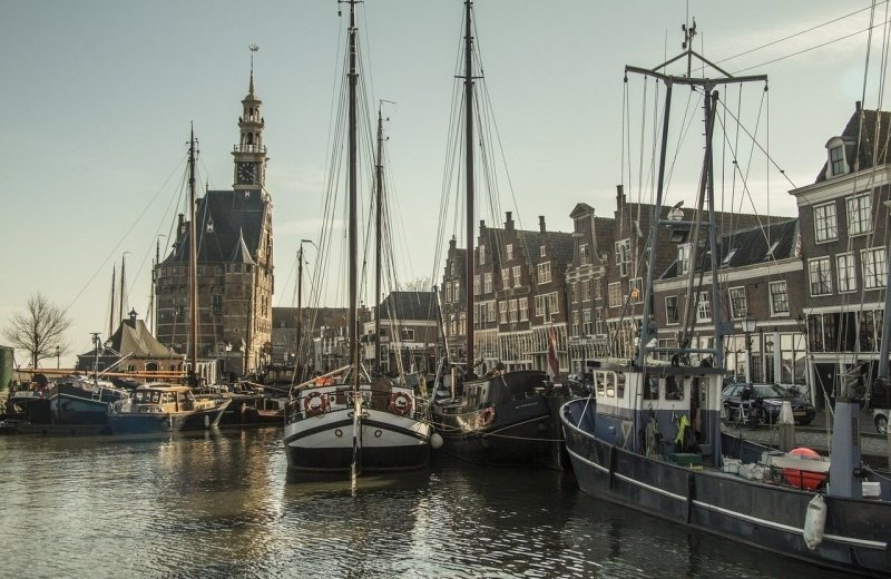 Hoorn