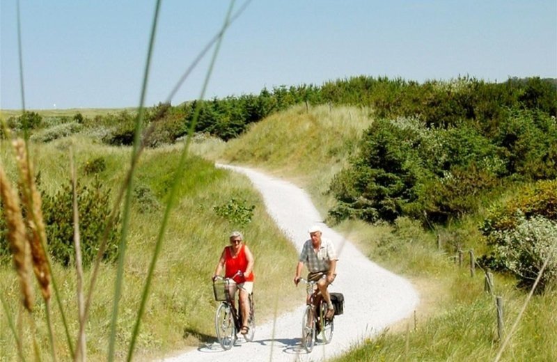 Schoorlse duinen met fietsers