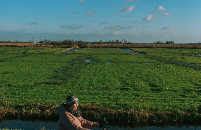 Weilanden bij de Zaanse schans